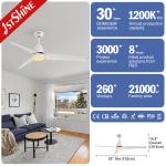5 Speed 35W Modern 52 Inch Ceiling Fan With Light Remote Control