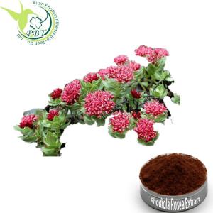 Wholesale Adaptogenic Rhodiola Rosea Root Extract Herb Rosavins 3% Salidroside 1% Extract from china suppliers
