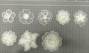 Wholesale Garment Accessories Embroidery Lace Applique with Cord Ivory Color from china suppliers