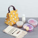 L19*D17cm Silk Printing Insulated Lunch Cooler Bags