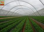 10mm * 10mm PE 50g / Sqm Agricultural Netting