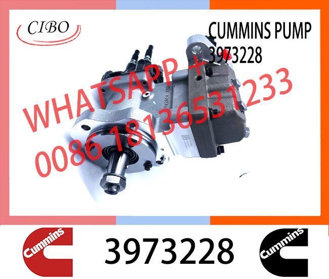 Cumminss Engine Parts QSL Diesel Fuel Injection Pump 3973228 4954200 2872191 4902731 2872930 4921431