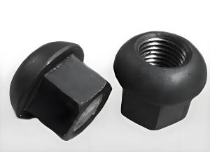 Wholesale Anchor Dome Nut for Mining Industry from china suppliers