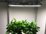 Fashionable Design 4000lm 576pcs Chips Indoor Plant Lights