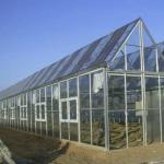 Hydroponic Ventilation Photovoltaic Greenhouses 6/9 and 6/12 Meters for Crop