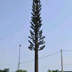 Wholesale Bionic Camouflaged Cell Towers GSM Antenna Steel Monopole Telecom Tower Galvanization from china suppliers