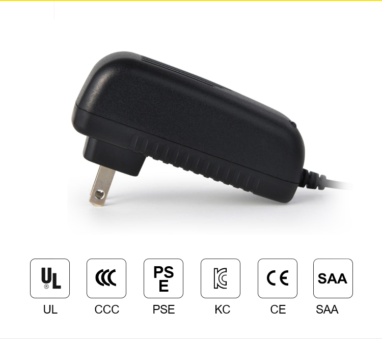 Plug In 24w Ac Switching Mode Power Supply Adaptor 50-60hz For Switching