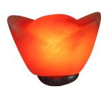 OEM Carved Himalayan Salt Lamp With Solid Wooden Base