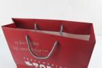 Professional 100-450gsm Kraft Paper Bags PP Rope Handle Art Paper Bag