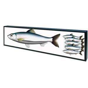 Wholesale Bus / Metro Ultra Thin Wide LCD Bar Display LG A Grade HDMI VGA AVI Input from china suppliers