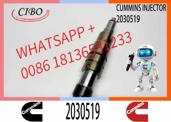 2029622 Genuine Diesel Common Rail Fuel Injector 1948565 2030519 2031836 2031835