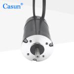 NEMA23 4500Rpm 24V DC Brushless Motor Casun BLDC Motor For Lawn Mower