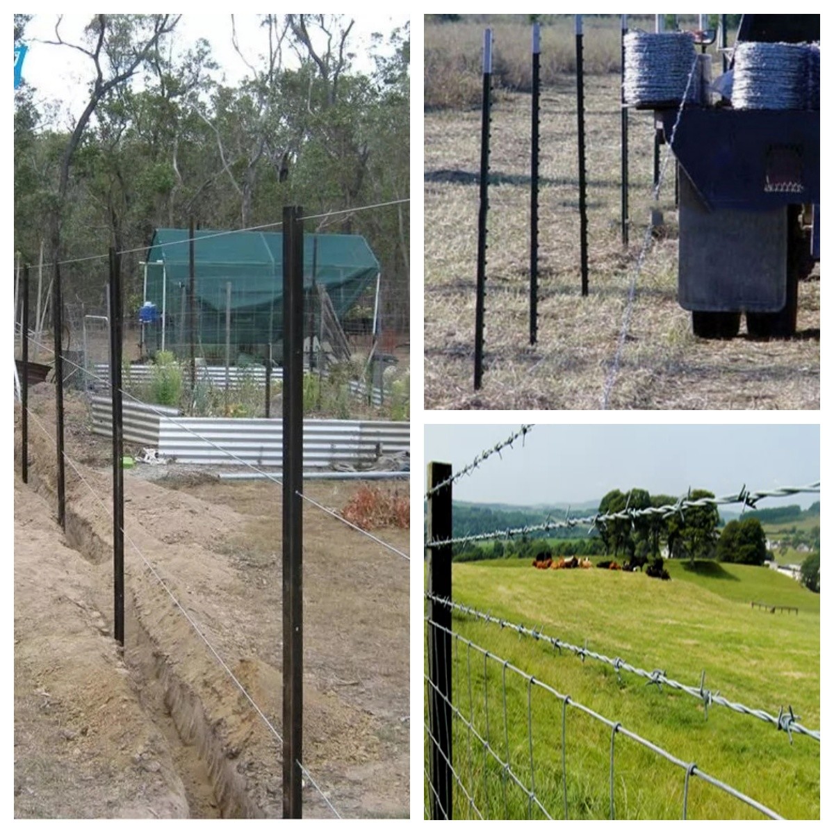Customizable Low Carbon Steel Y Post Silver For Secure Fencing
