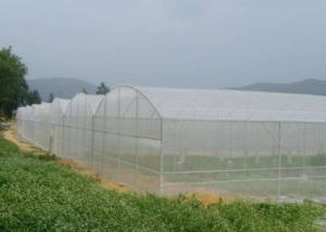 Wholesale UV Resistant Vegetable Anti Mosquito Nets Greenhouse 50g / M2 - 130g / M2 from china suppliers