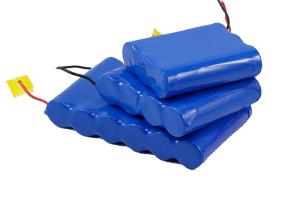 Wholesale Long Lifetime Lithium Ion Rechargeable Battery Pack 6S1P 3.6V 12Ah For Electric Shaver from china suppliers