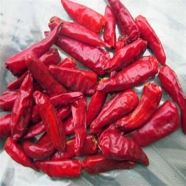 25000SHU Dried Red Chile Peppers Tianjin Chilies Dehydrated Spices