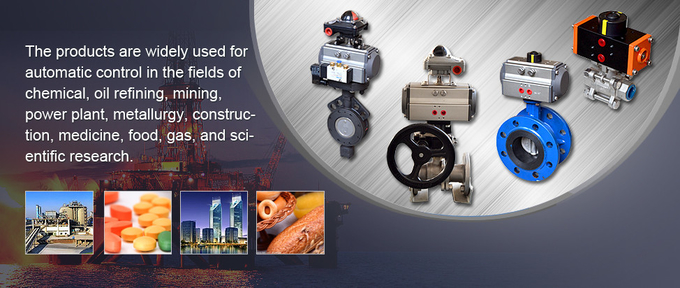 Pneumatic Operated Double Action Rotary Actuator Low Friction For Control Valves