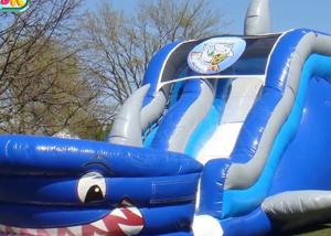 Wholesale 0.55mm PVC Giant Inflatable Slide For Water Games / Blow Up Water Slide For Toddlers from china suppliers