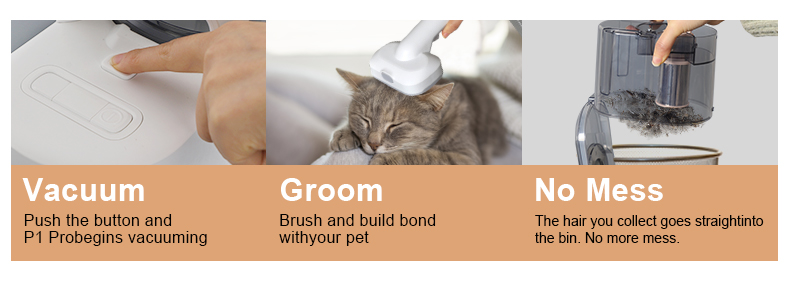 Electronic Pet Grooming Kit 300W Iron Vacuum Suction for Cats and Dogs Professional