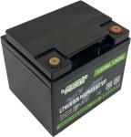 Rechargeable BMS Marine Boat Lithium ion Battery 12v 50Ah LiFePO4 Deep Cycle