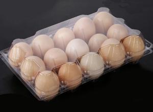 Wholesale Waterproof PET Transparent Egg Trays , 15 Cavities Egg Carton Packaging from china suppliers