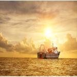 China To Malaysia International Sea Freight Forwarder DDP A Class