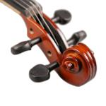 violin factory Symphony Orchestras | Music Appreciation V09B Best Brands Solid