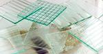 Transparent 4mm Karatachi Figured Glass Interior Partition and Bathroom
