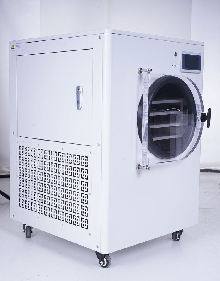 Automatic Cheap Price Freeze Dryer India Commercial