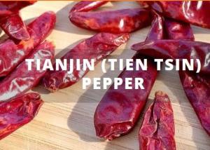 Wholesale Chinese Tianjin Tien Tsin Chile Peppers In 5lb Vacuum Pack from china suppliers