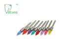 Dental Polishing Kit Teeth Polishing Brush Nylon Brush Pencil Sharp