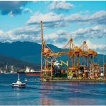International Sea Freight Forwarding DDP From China To New Zealand