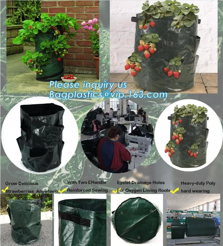 1 / 2 / 3 / 5 / 7 / 10 / 15 / 20 / 25 / 30 gallon Non woven Fabric Pot Plant Grow Bags,Fabric Pots Greenhouse Felt Non W