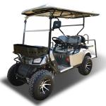 OEM All Terrain Electric Car EV Golf Cart With LED Headlights Taillights
