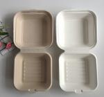6 Inches Sugarcane Burger Bagasse Take Away Lunch Box Biobased Biodegradable