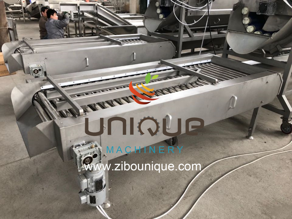 Automatic Electric Potato Peeler and Cutter Machine with 2021 Advanced Technology