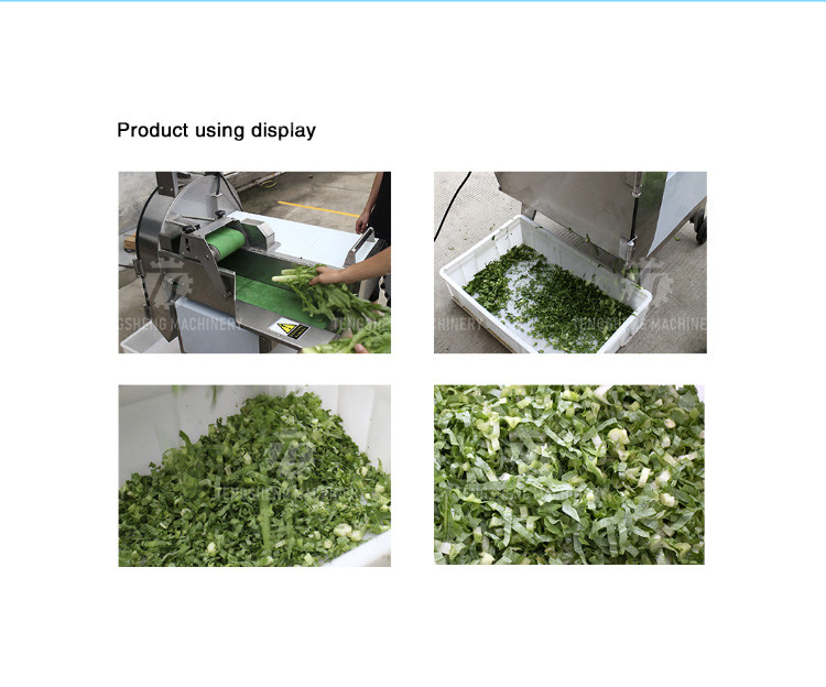 2.25KW 140KG Multi-function CNC vegetable cutter Automatic vegetable cutter large batch vegetable cutter