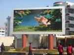 1 / 4 Scan High Definition Outdoor Led Advertising Billboard Waterproof 10000