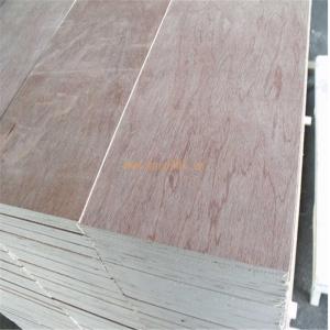 Wholesale Hotel Bintangor Back 610*2440mm Green Panel Plywood from china suppliers