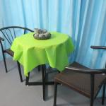 Disposable Round Wedding Table Napkin Cloth Non Toxic 420cm