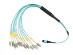 10G / 40G Optical Cable Assembly MPO To LC OM3 Breakout Fiber Optic Patch Cord
