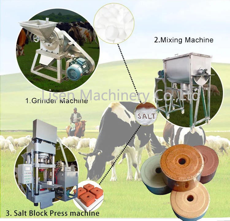 Advanced Mechanical Single Punch Tablet Press Urea Salt Block Press Machine Automatic Block Feed Press Machine