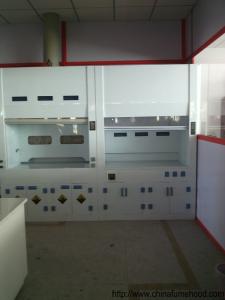 Wholesale Chinese Fume Hood Industry Production PP Lab Products For Oversea Suppliers from china suppliers