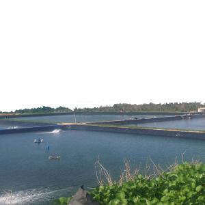 Wholesale Online Technical Support HDPE Geomembrane for Man-made Lakes ASTM Standard in Tenglu from china suppliers