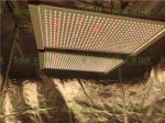 Horticulture UV Seoul 395nm 240Watt LED Grow Lights