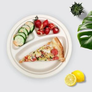 Wholesale Disposable Bagasse 10 Inch Sugarcane Compostable Plates 3 Compartment Plates from china suppliers