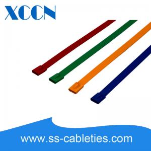 Wholesale Assorted Zip Reusable Cable Ties , Metal Small Cable Ties Mounts Non Flammable from china suppliers