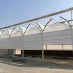 Juxiang Agricultural Nft Hydroponic Film Greenhouse for Vegetable Cultivation