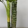 Artificial Golden Dieffenbachia Plant 43 Inch Tall Fake Tropical Lifelike Tree