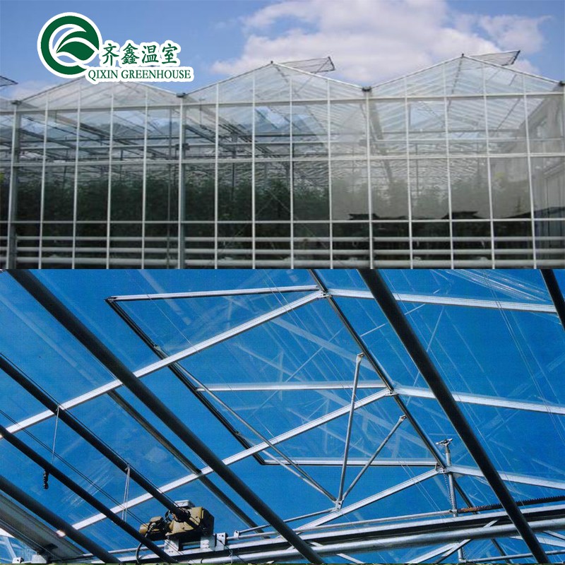 Customized Canada Tunnel Greenhouse Garden Tunnel with Glass or PC Sheet